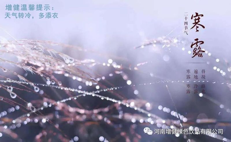 今日寒露：秋风起，，，，寒露至。。。。