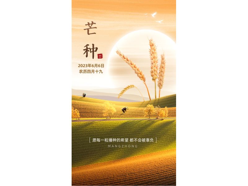 风吹麦浪芒种时，，，，，麦香深处有希望