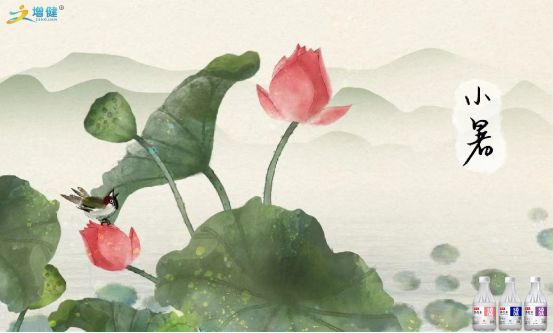 【河南6688体育饮品】倏忽温风至，，因循小暑来。。。