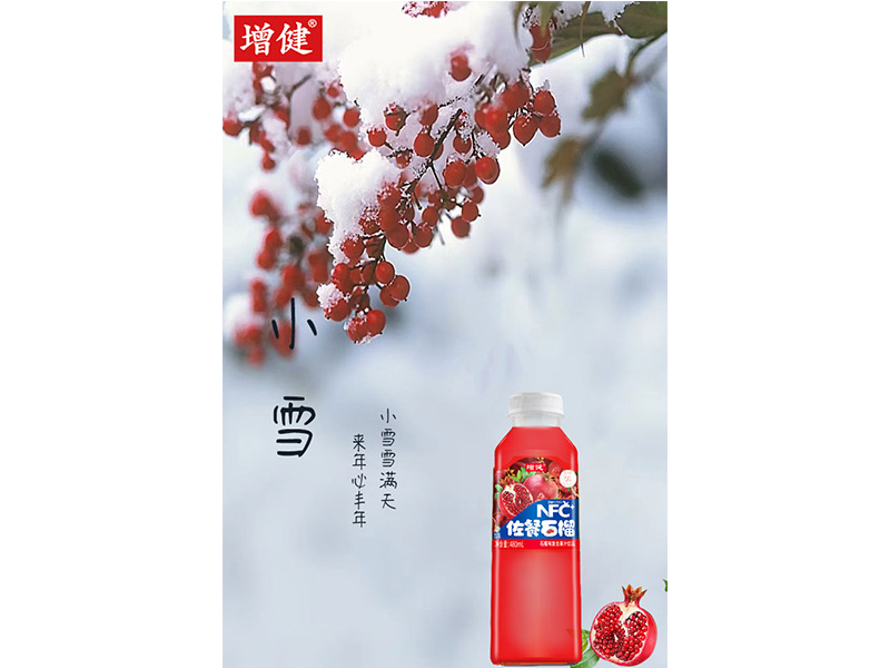 有冬要来? 有雪如诗