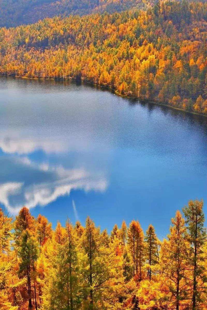 微信图片_20211025171329